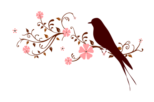 Imagen de un pájaro